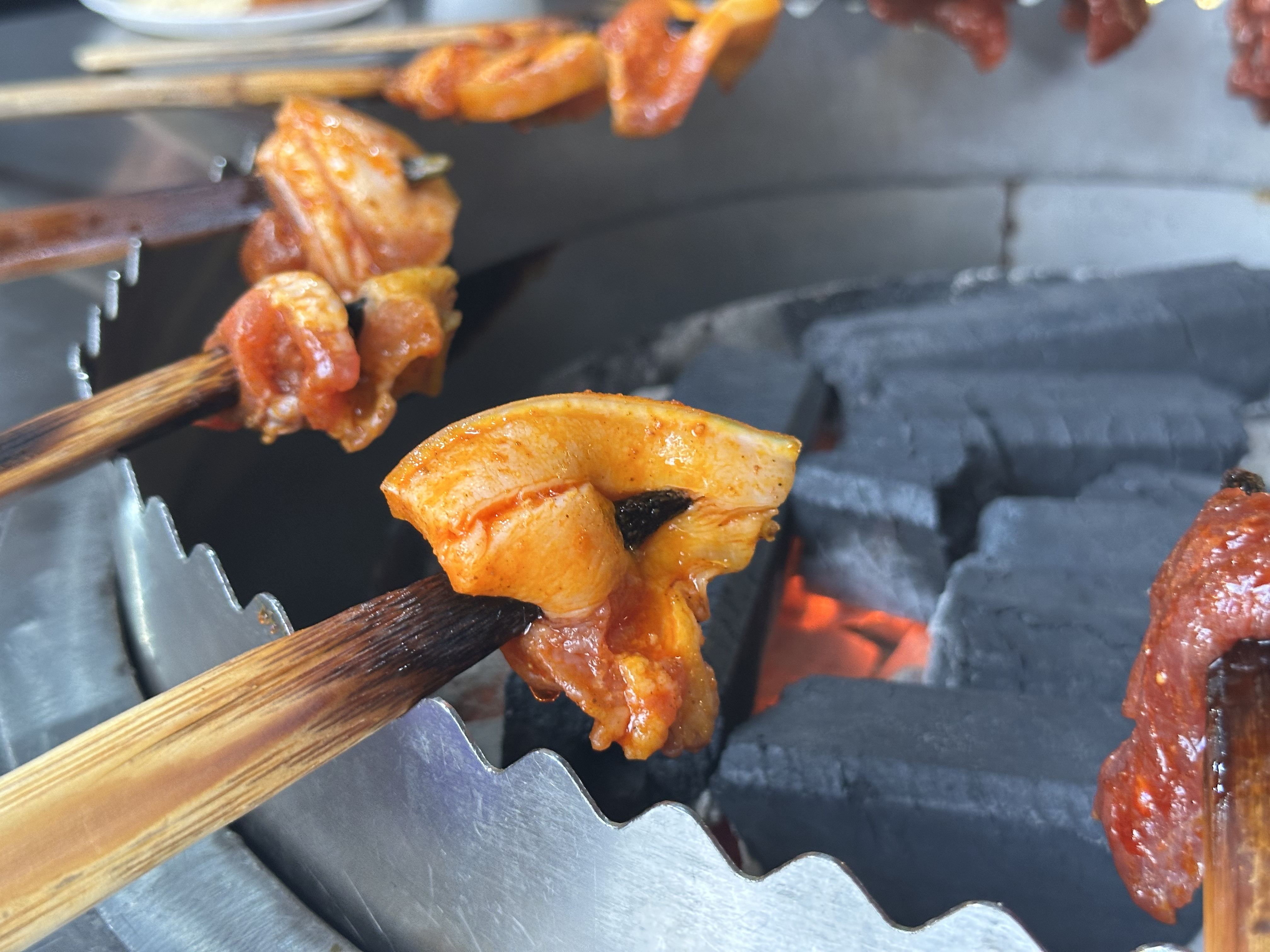 炭火边的烤串近景