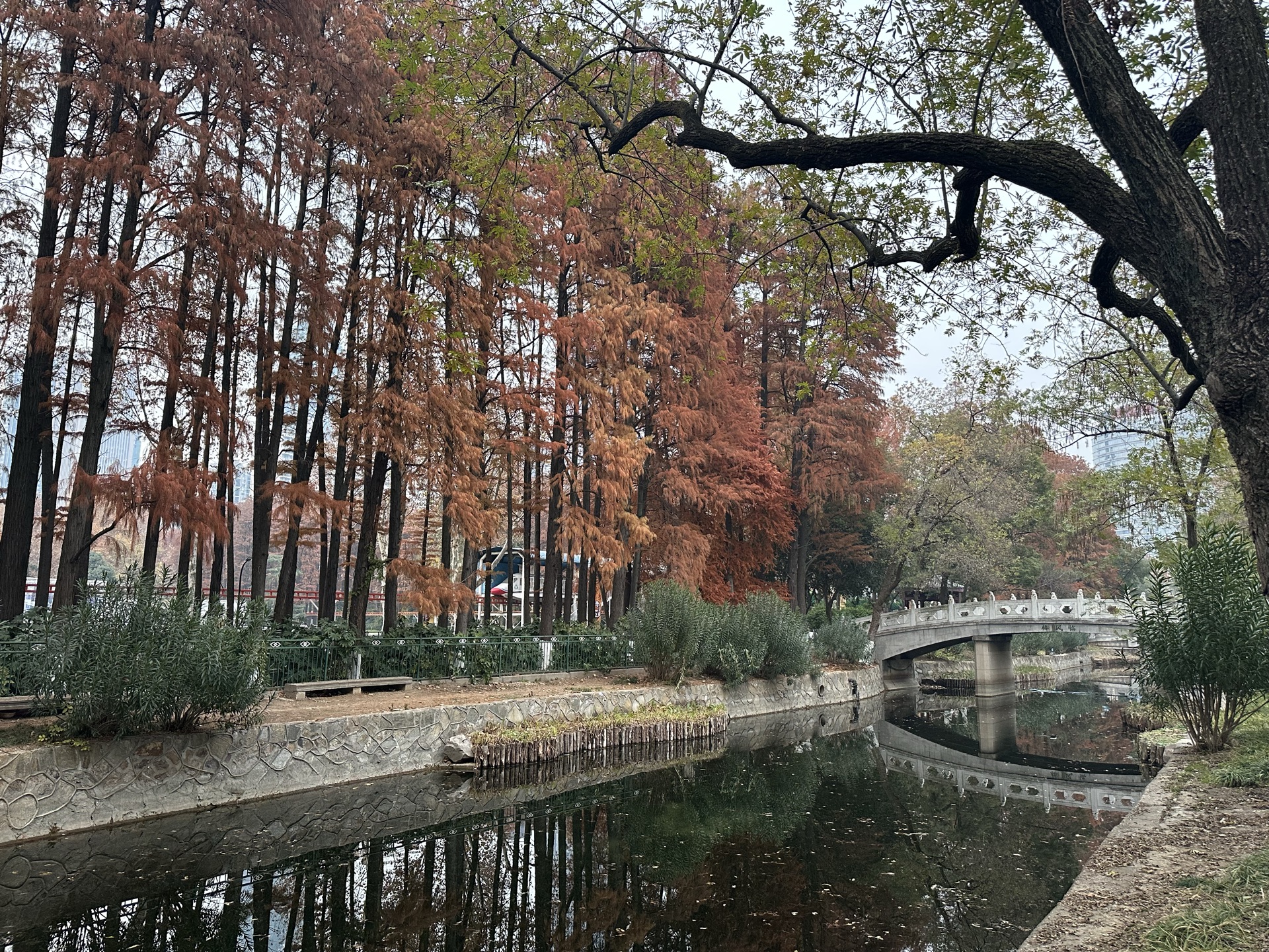 IMG_6025_WuHan